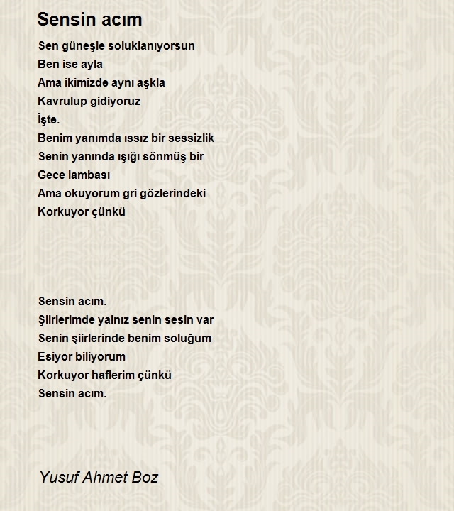 Yusuf Ahmet Boz