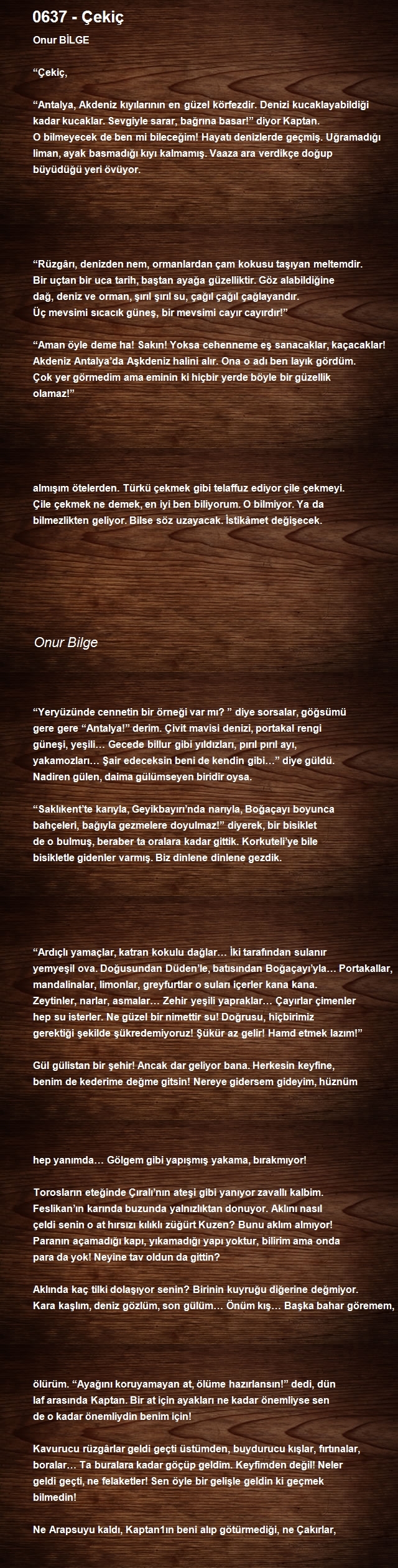 Onur Bilge