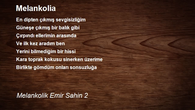 Melankolik Emir Sahin 2