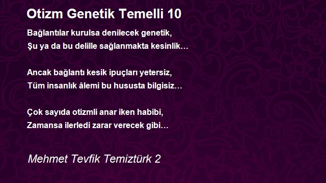 Mehmet Tevfik Temiztürk 2