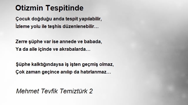 Mehmet Tevfik Temiztürk 2