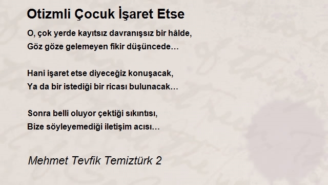 Mehmet Tevfik Temiztürk 2