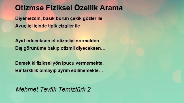 Mehmet Tevfik Temiztürk 2