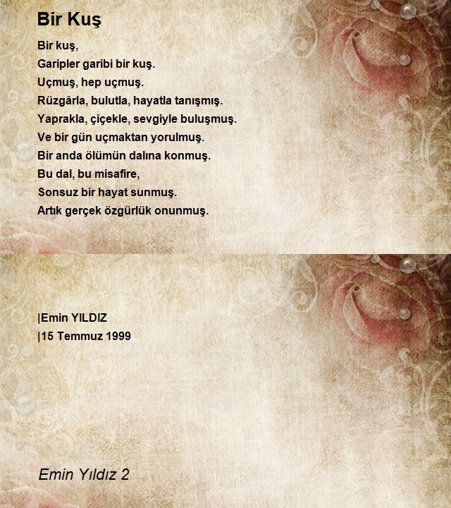 Emin Yıldız 2