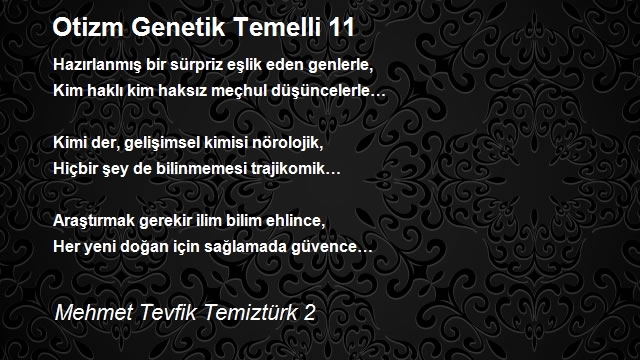 Mehmet Tevfik Temiztürk 2