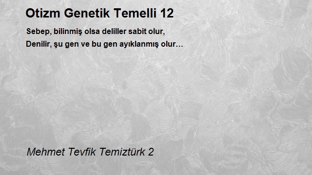 Mehmet Tevfik Temiztürk 2