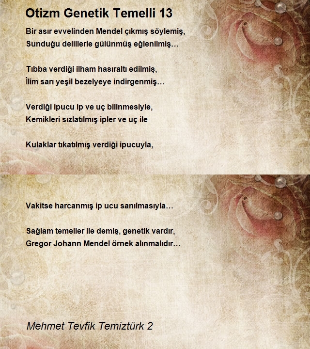 Mehmet Tevfik Temiztürk 2