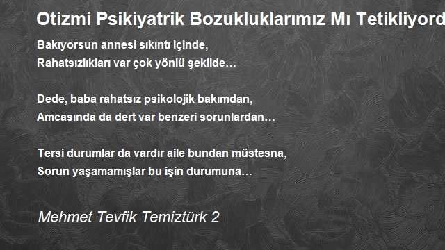 Mehmet Tevfik Temiztürk 2