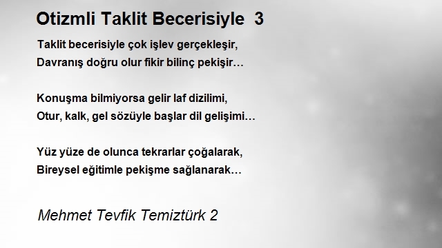 Mehmet Tevfik Temiztürk 2