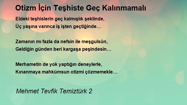 Mehmet Tevfik Temiztürk 2