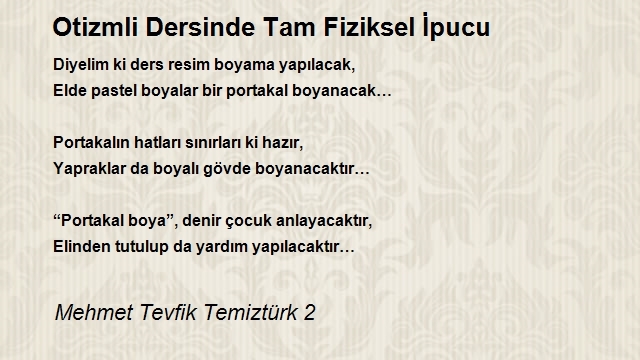 Mehmet Tevfik Temiztürk 2