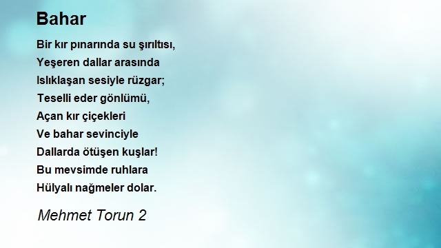 Mehmet Torun 2