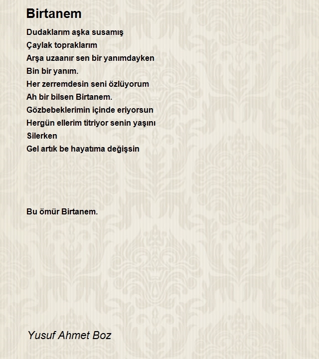 Yusuf Ahmet Boz