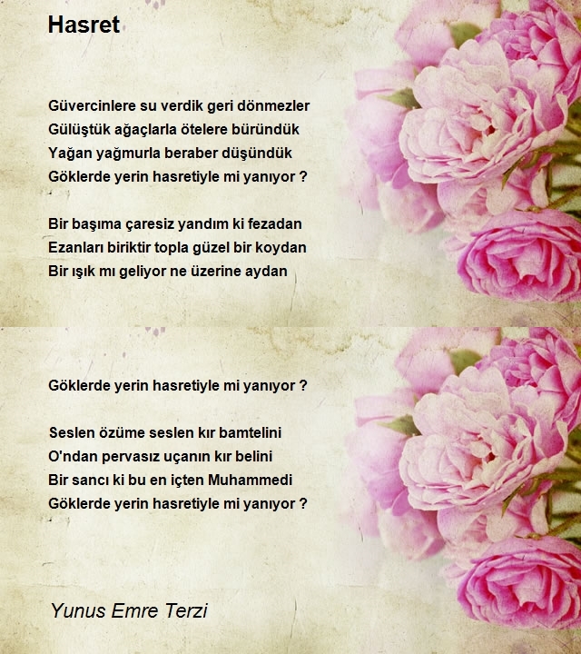 Yunus Emre Terzi