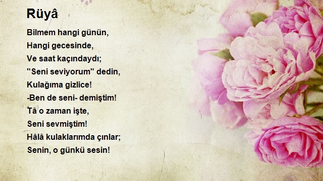 Mehmet Torun 2