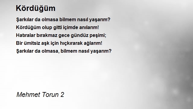 Mehmet Torun 2