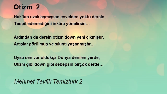 Mehmet Tevfik Temiztürk 2