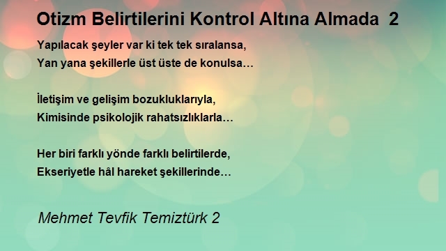 Mehmet Tevfik Temiztürk 2