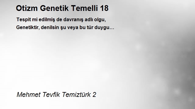 Mehmet Tevfik Temiztürk 2