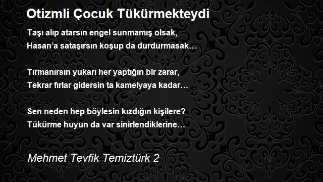 Mehmet Tevfik Temiztürk 2