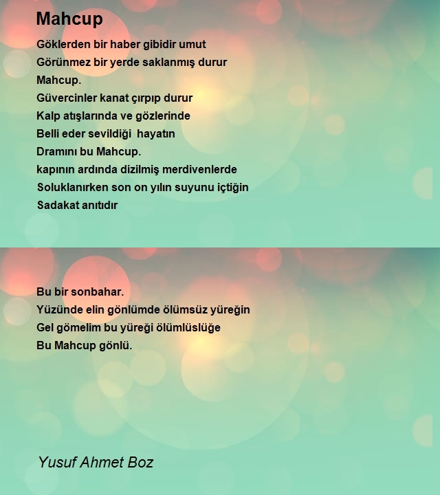 Yusuf Ahmet Boz