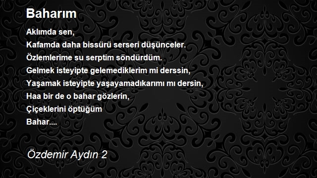 Özdemir Aydın 2