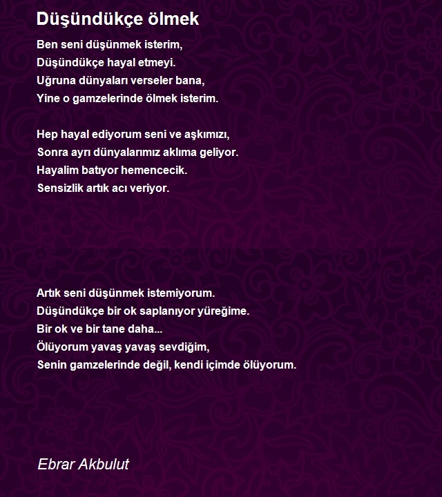 Ebrar Akbulut