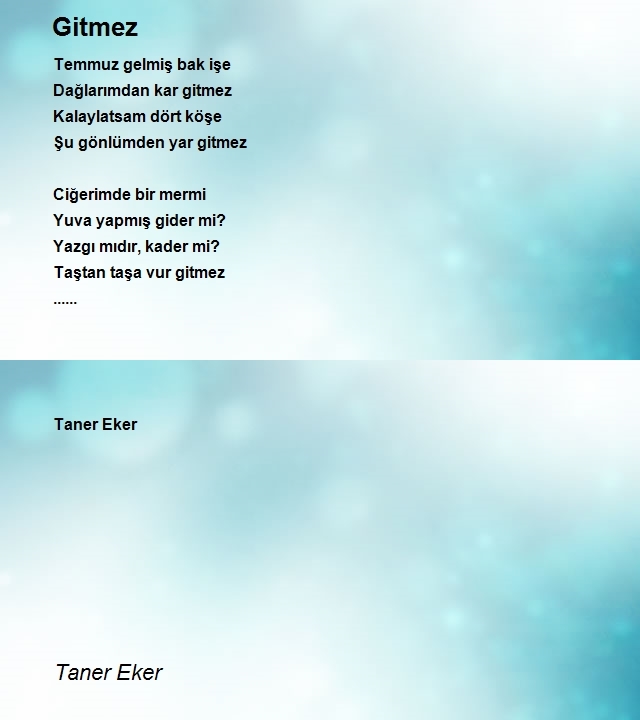 Taner Eker