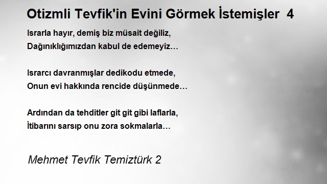 Mehmet Tevfik Temiztürk 2