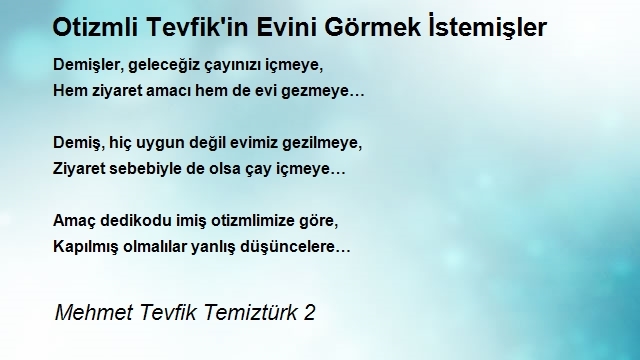 Mehmet Tevfik Temiztürk 2