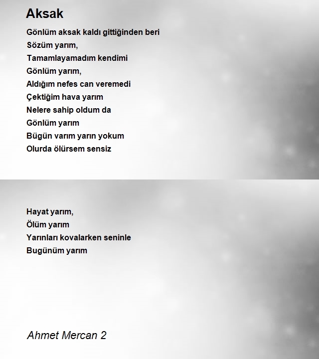 Ahmet Mercan 2