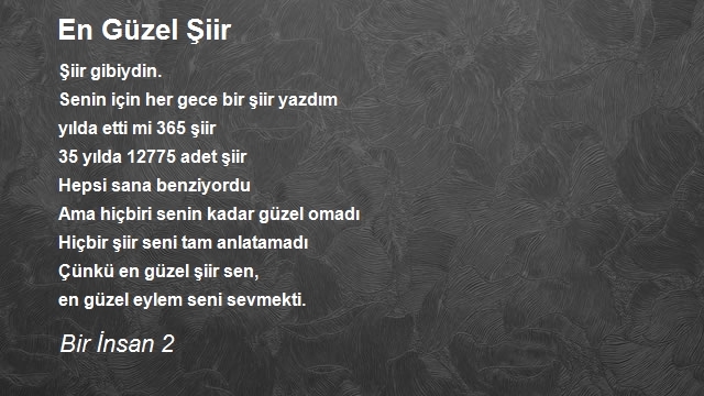 Bir İnsan 2