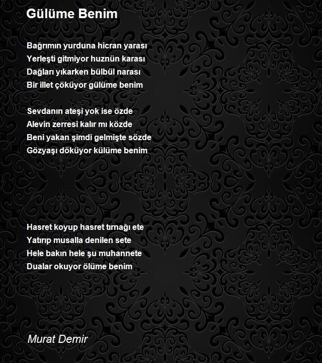 Murat Demir