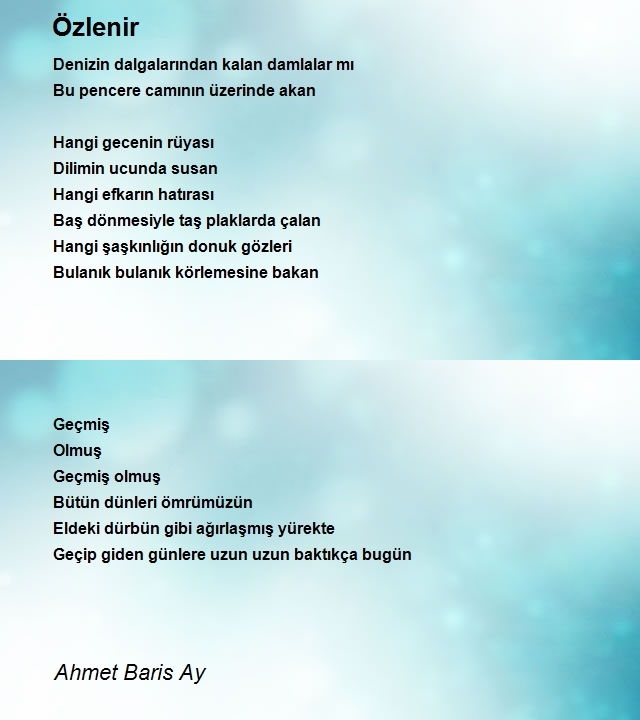 Ahmet Baris Ay