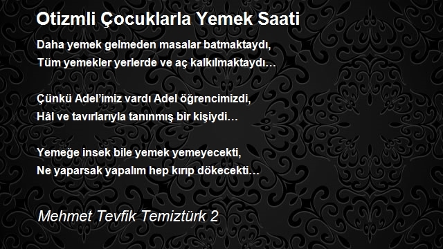 Mehmet Tevfik Temiztürk 2