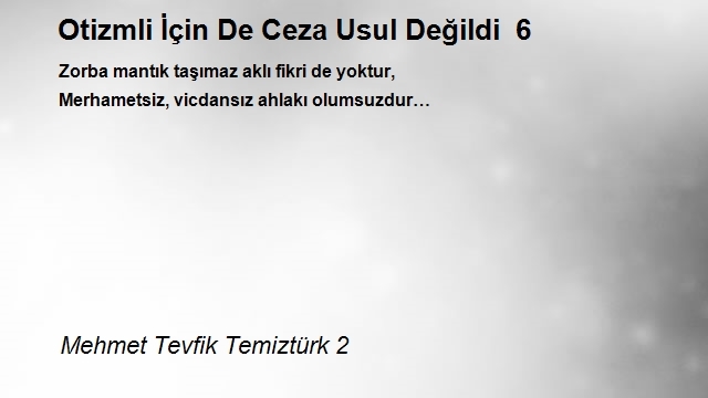 Mehmet Tevfik Temiztürk 2