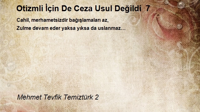 Mehmet Tevfik Temiztürk 2