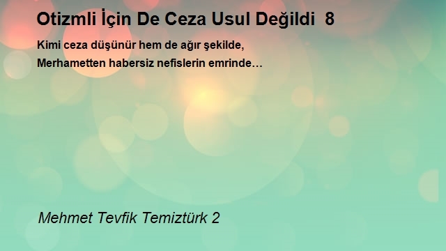 Mehmet Tevfik Temiztürk 2