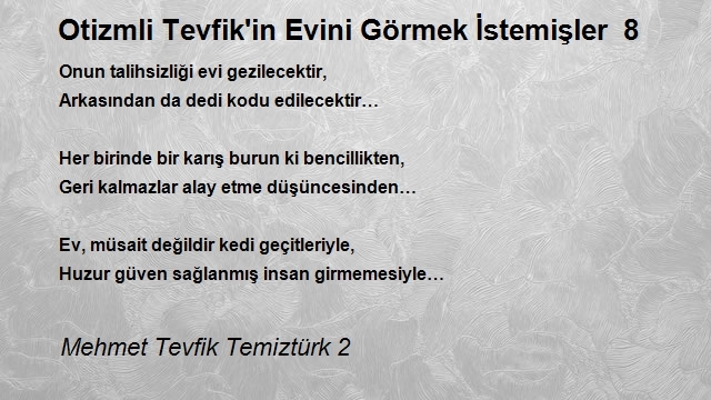 Mehmet Tevfik Temiztürk 2