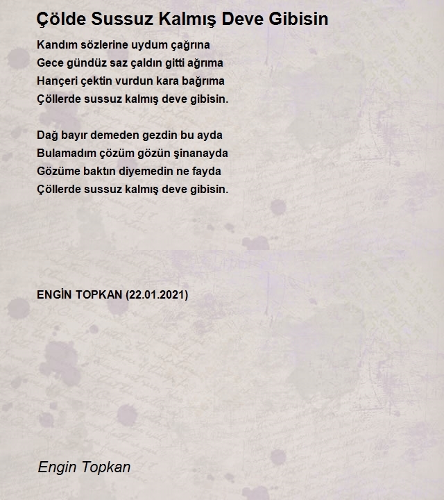 Engin Topkan