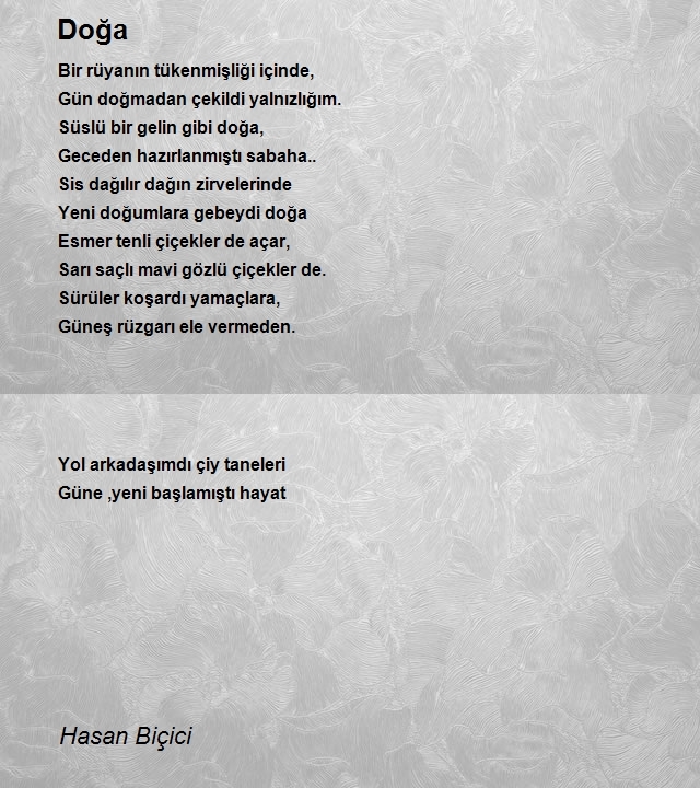 Hasan Biçici