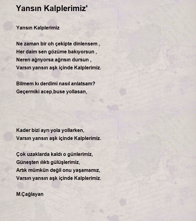 Mehmet Çağlayan 2