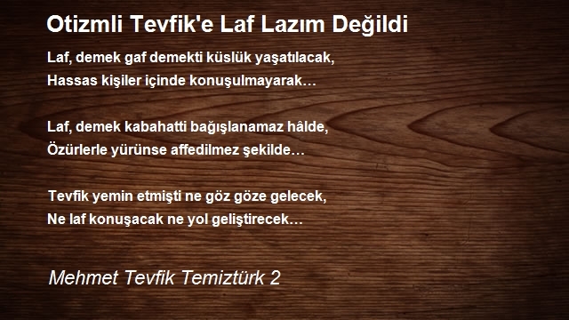 Mehmet Tevfik Temiztürk 2