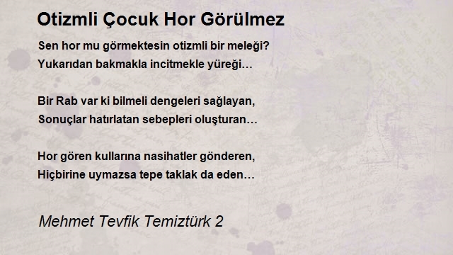 Mehmet Tevfik Temiztürk 2