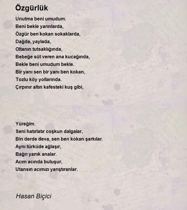 Hasan Biçici