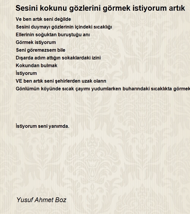 Yusuf Ahmet Boz