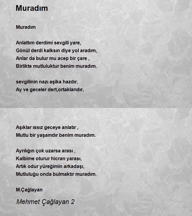 Mehmet Çağlayan 2