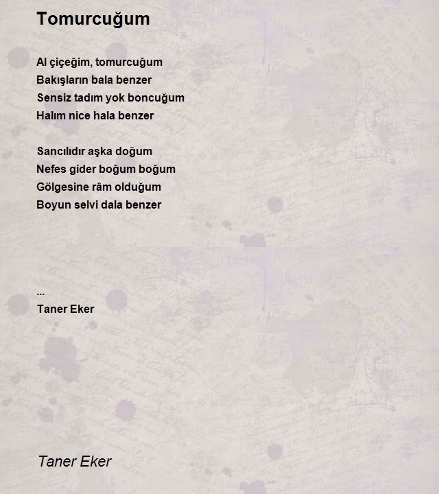 Taner Eker