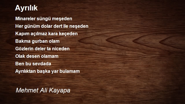 Mehmet Ali Kayapa