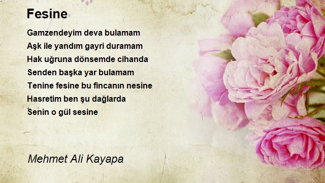 Mehmet Ali Kayapa